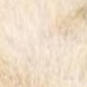 Meet your Posher, Chen